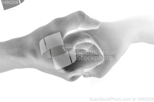 Image of Two hands unite with eachother in symbol