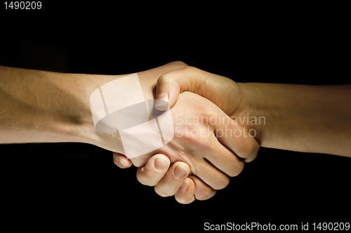 Image of Two hands unite with eachother as agreement