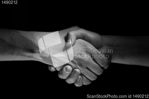 Image of Hands unite with eachother as deal agreement