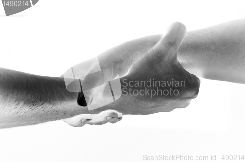 Image of Hands unite with eachother as friends greeting