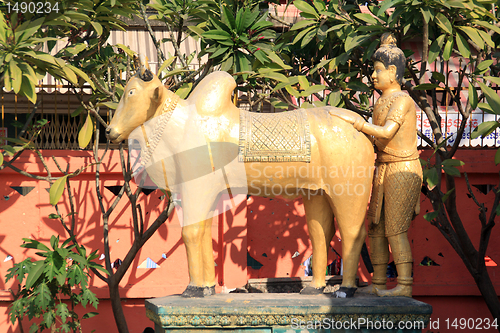 Image of Man and cow