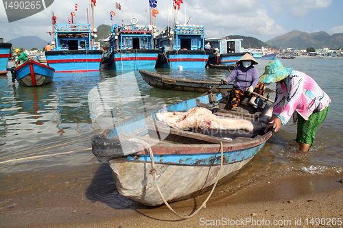 Image of Women and shark in Nha Trang