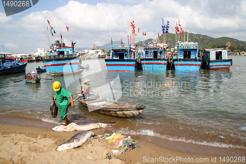 Image of Boats in Vietnam