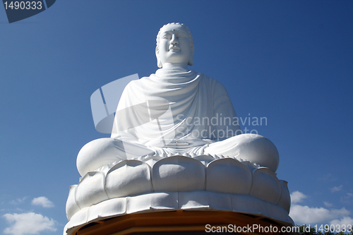 Image of White Biddha