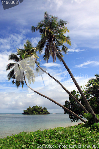 Image of Green grass and island