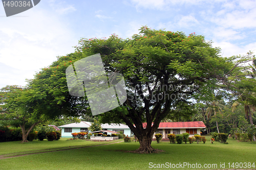 Image of House under tree