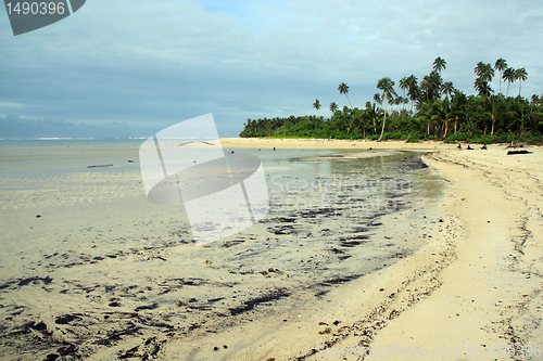 Image of Low tide