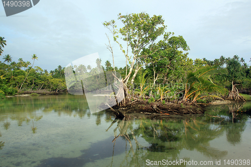 Image of River