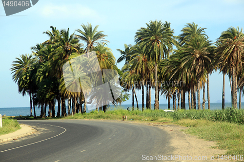 Image of Road