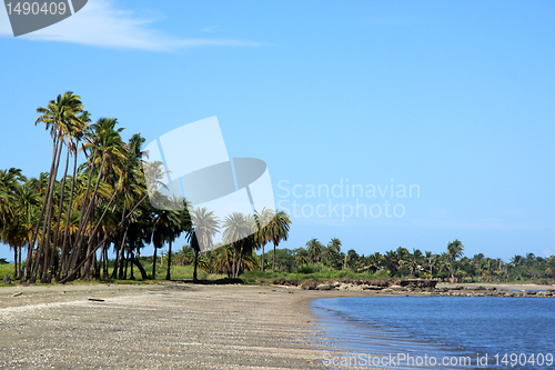 Image of Beach