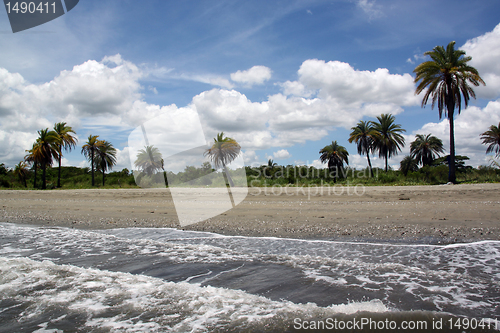 Image of Beach