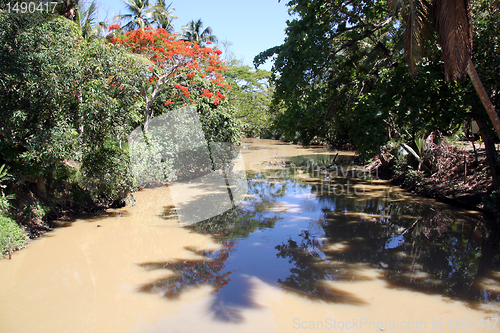 Image of River