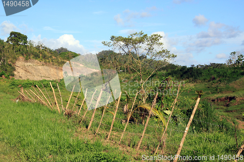 Image of Fence