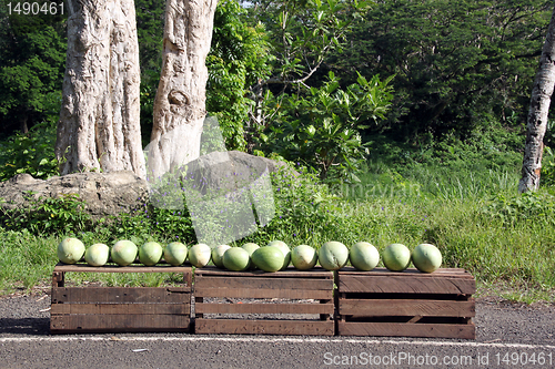 Image of Watermelons