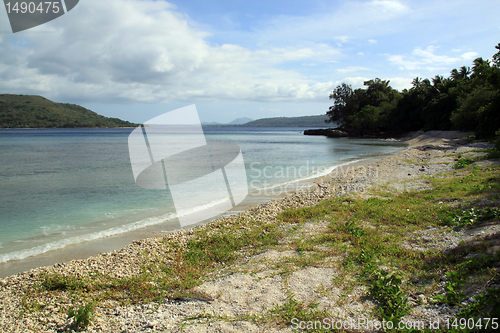 Image of Grass on the beach