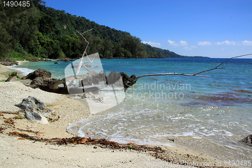 Image of On the beach