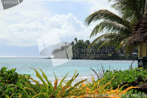 Image of Beach