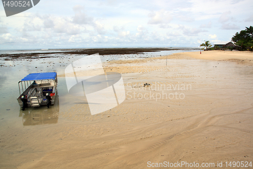 Image of Low tide