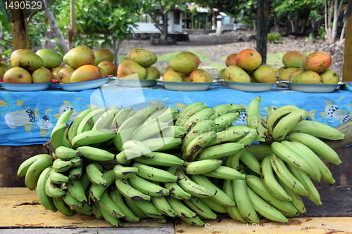 Image of Fruits