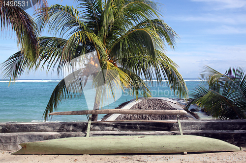 Image of Coconut tree and boat