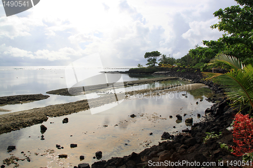 Image of Low tide