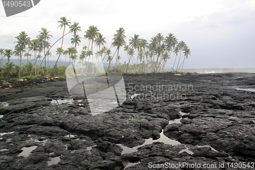 Image of Lava field