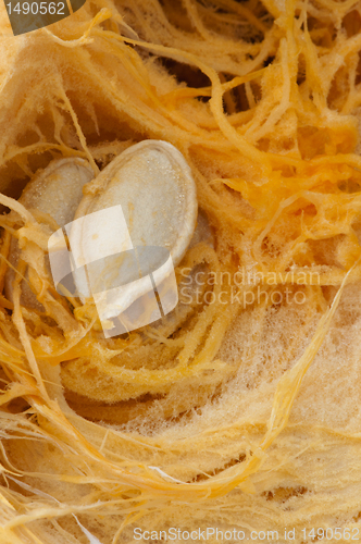 Image of Seeds inside the pumpkin