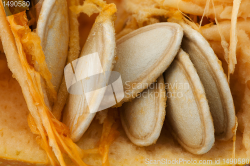Image of Seeds inside the pumpkin