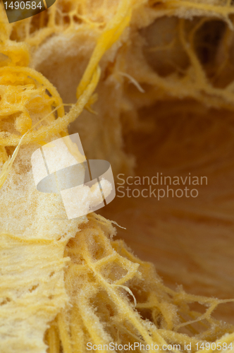 Image of Background  inside the pumpkin