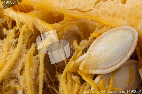 Image of Seeds inside the pumpkin