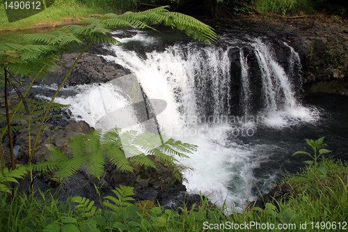 Image of Waterfall