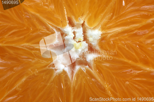Image of Fresh juicy orange