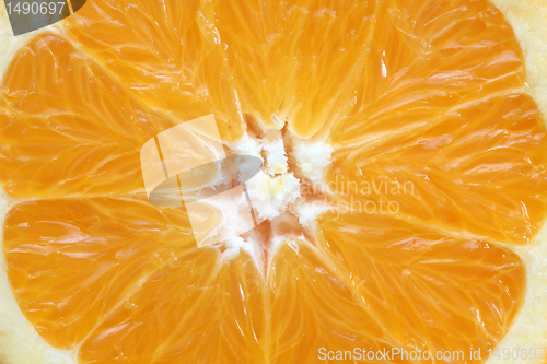 Image of Fresh juicy orange