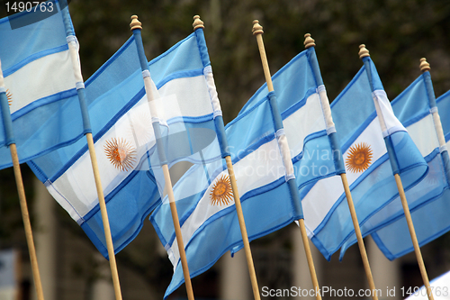 Image of Argentinian flags