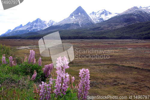 Image of Mountain