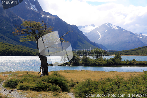 Image of Tree, lake, mountain