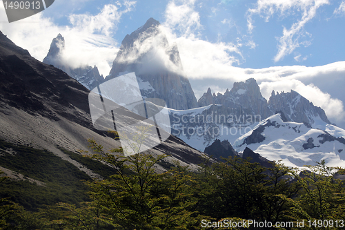 Image of Forest and mount