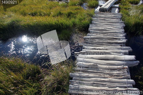 Image of River and grass