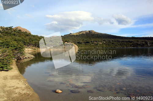 Image of Forest and lake