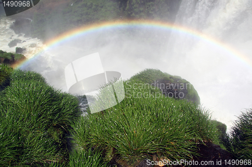 Image of Grass and rainbow