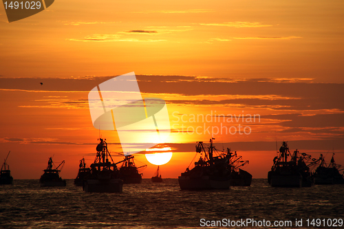 Image of Fishing boats