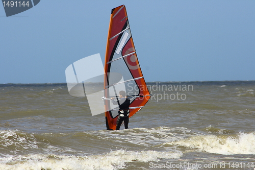 Image of wind surfer