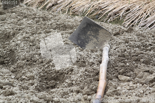 Image of spade ready to prepare vegetable bed for sowing 