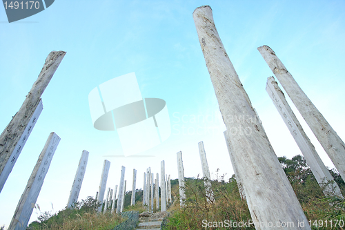 Image of Wisdom Path of Heart Sutra - Chinese prayer on trunks under blue