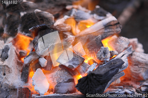 Image of Decaying red coals of a tree in a fire 