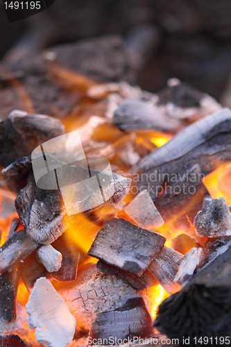 Image of Decaying red coals of a tree in a fire 