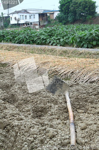 Image of spade ready to prepare vegetable bed for sowing 