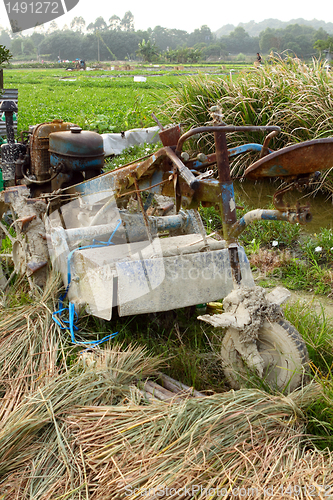 Image of tractor on rice farm