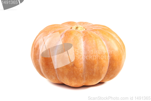 Image of Ripe pumpkin.