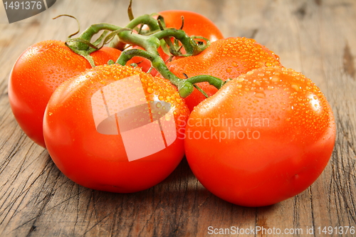 Image of Five ripe tomatoes.
